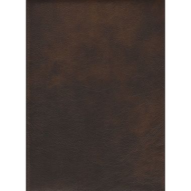 Stationary Leather Loveseat #383