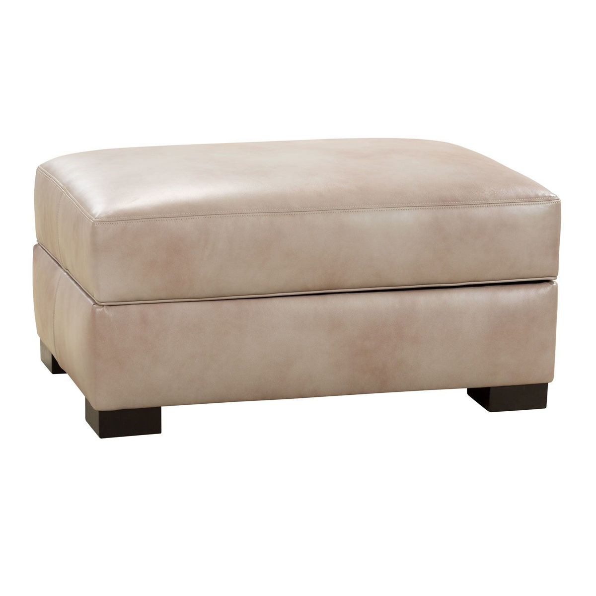 Picture of Genesis Leather Storage Ottoman