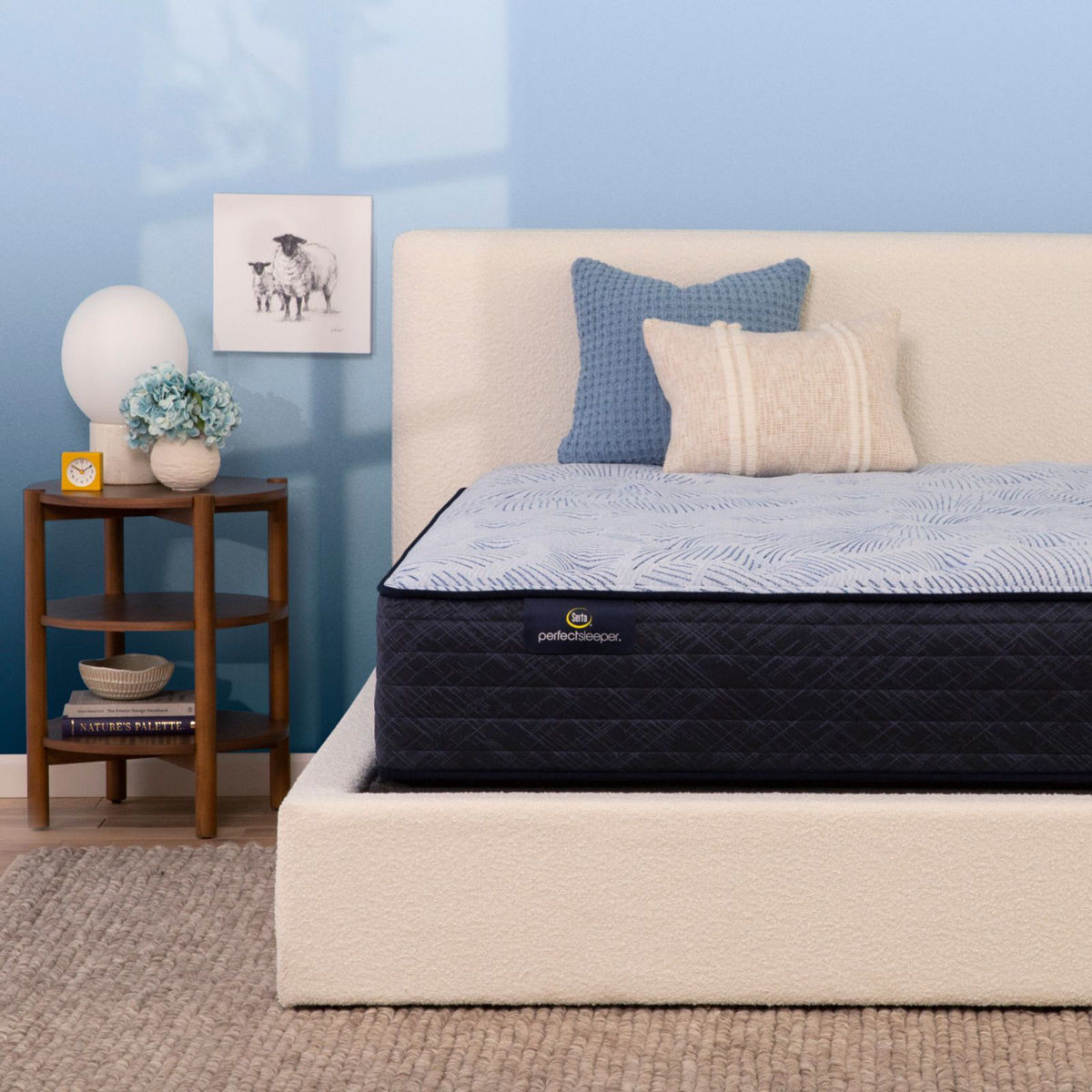 Picture of Queen Barbosa Sky Plush Mattress