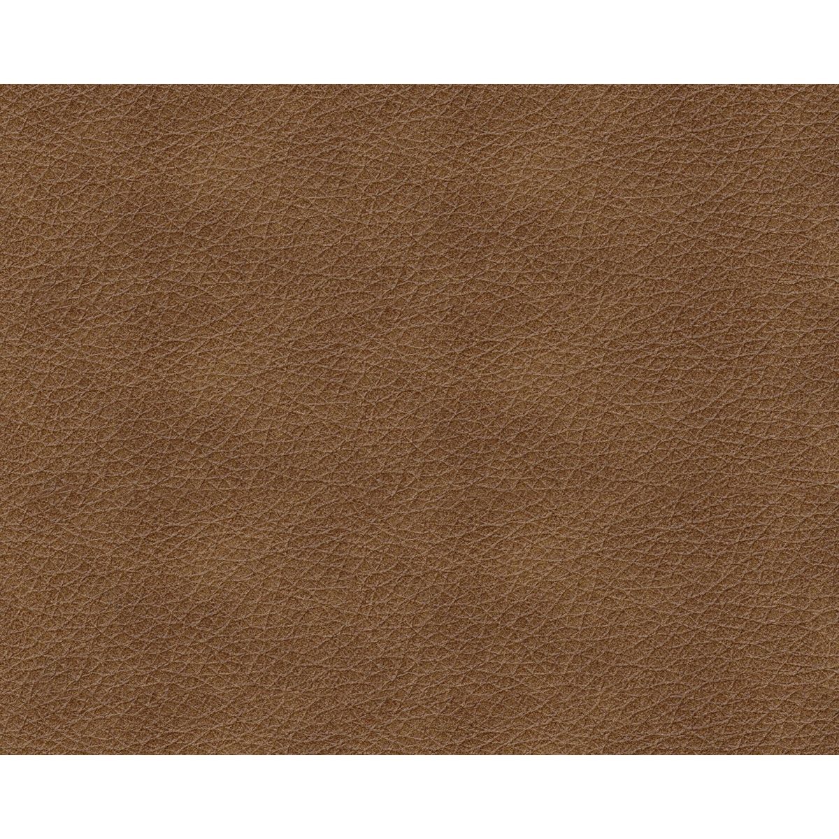 Picture of Bolsena Camel Leather Sofa