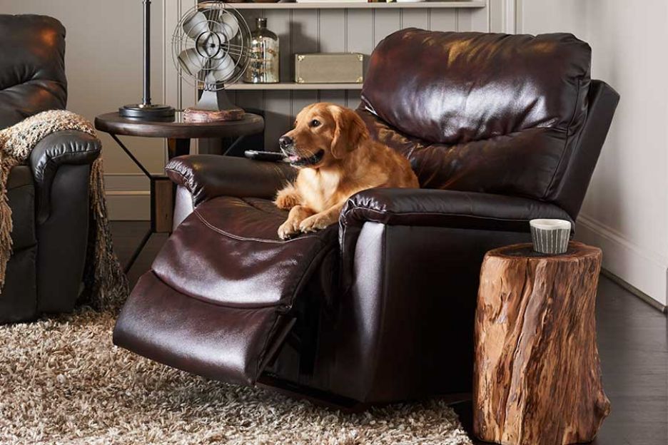 Is Leather Furniture Pet-Friendly? Make the Right Choice at Grand Home Furnishings