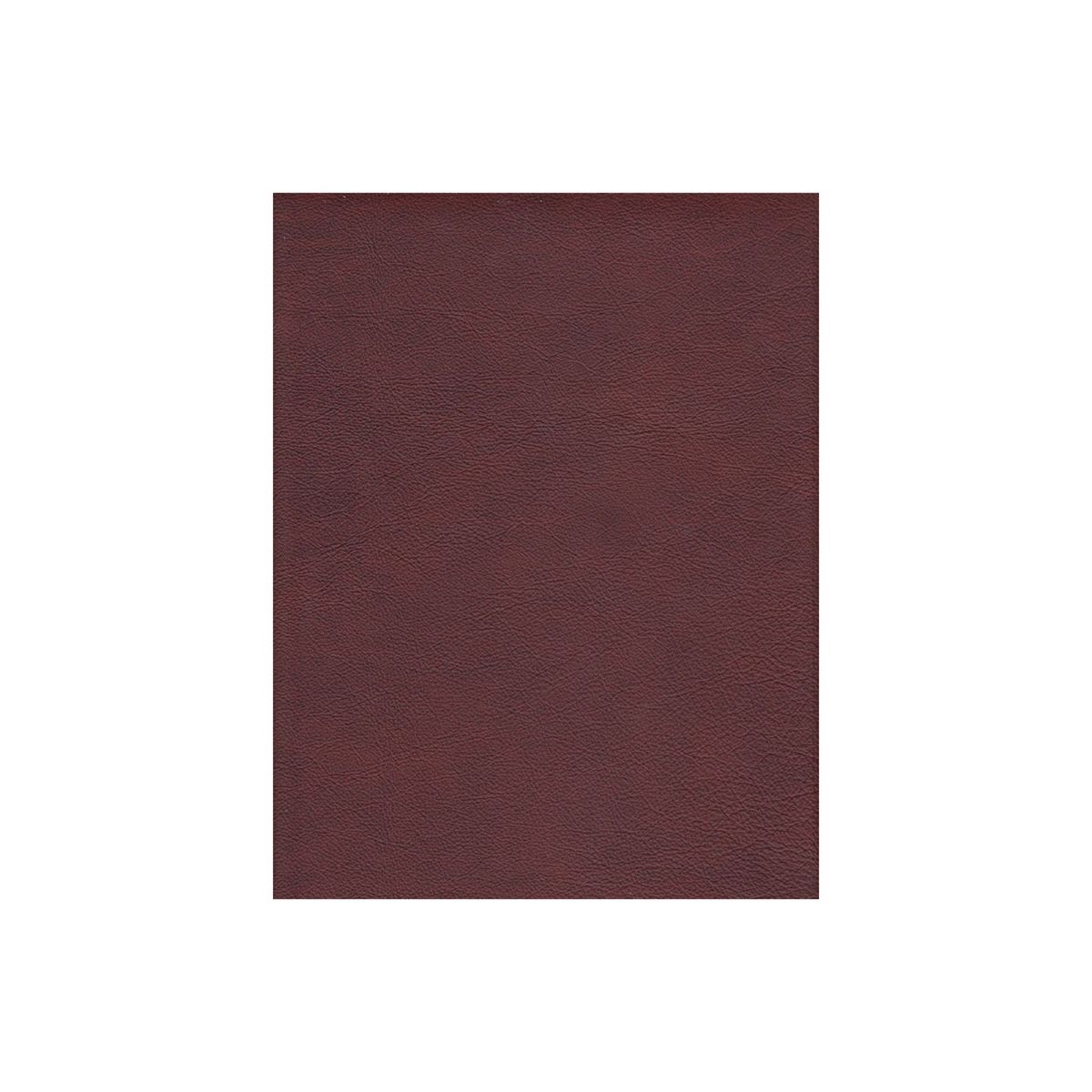 Picture of Burgundy Leather Sofa #268