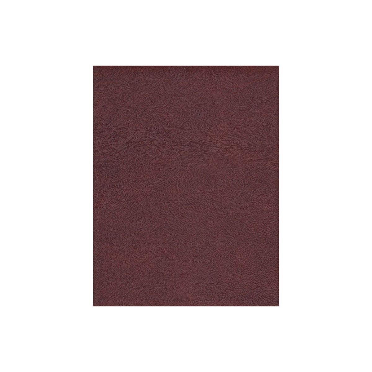 Picture of Burgundy Leather Chair #268