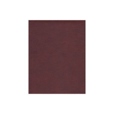 Burgundy Leather Loveseat #268