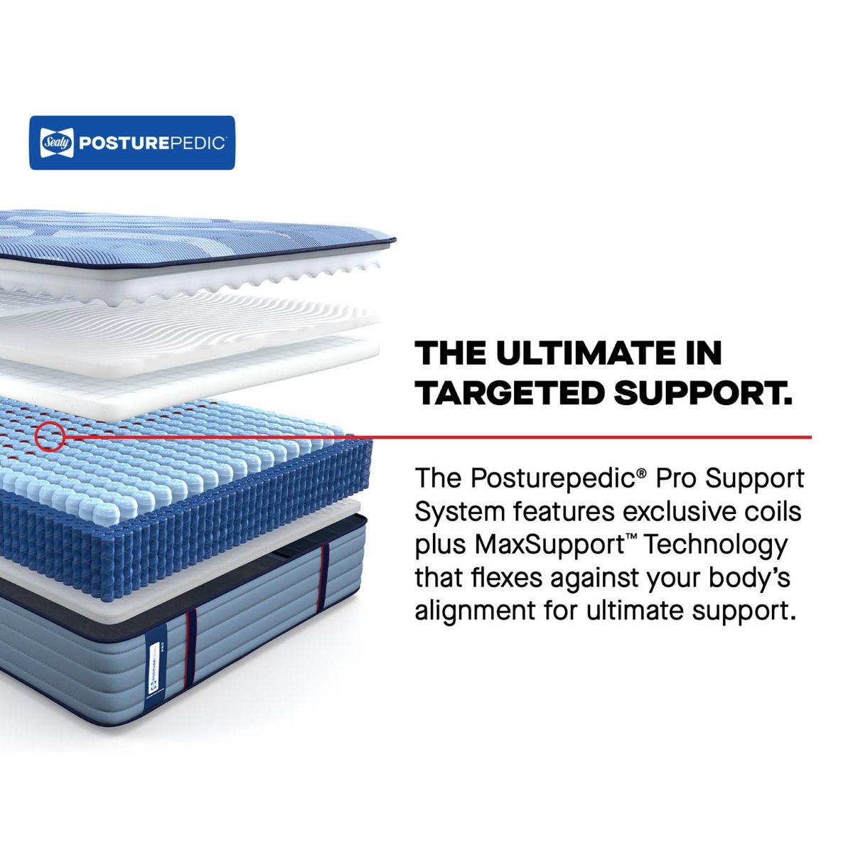 Picture of Dupont II Firm Mattress Set