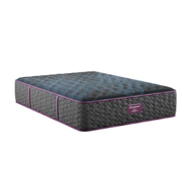World Class Medium Firm Queen Mattress