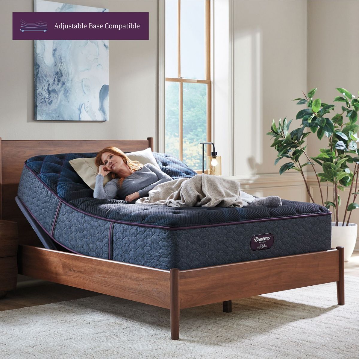 Picture of World Class Plush Mattress Set