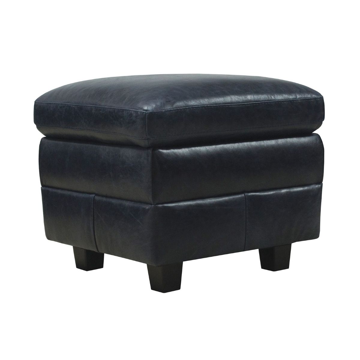 Picture of Anya Midnight Blue All Leather Ottoman