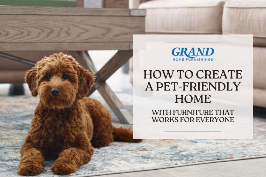 How to Create a Pet-Friendly Home—with Furniture That Works for Everyone