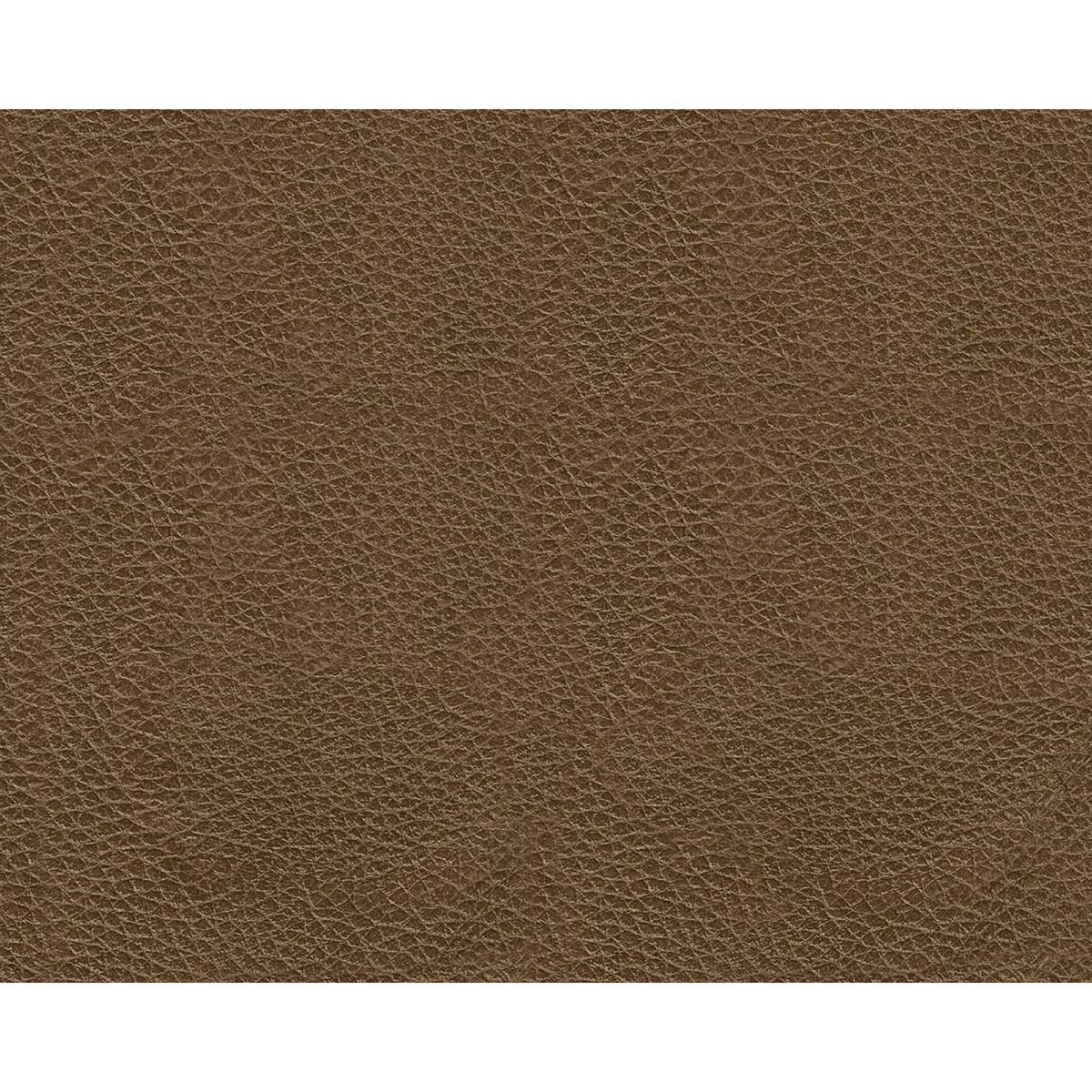 Picture of Saonara Leather Chair